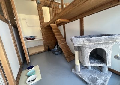 Cattery accommodation