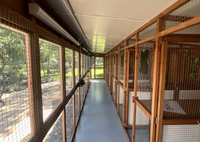 Cattery interior